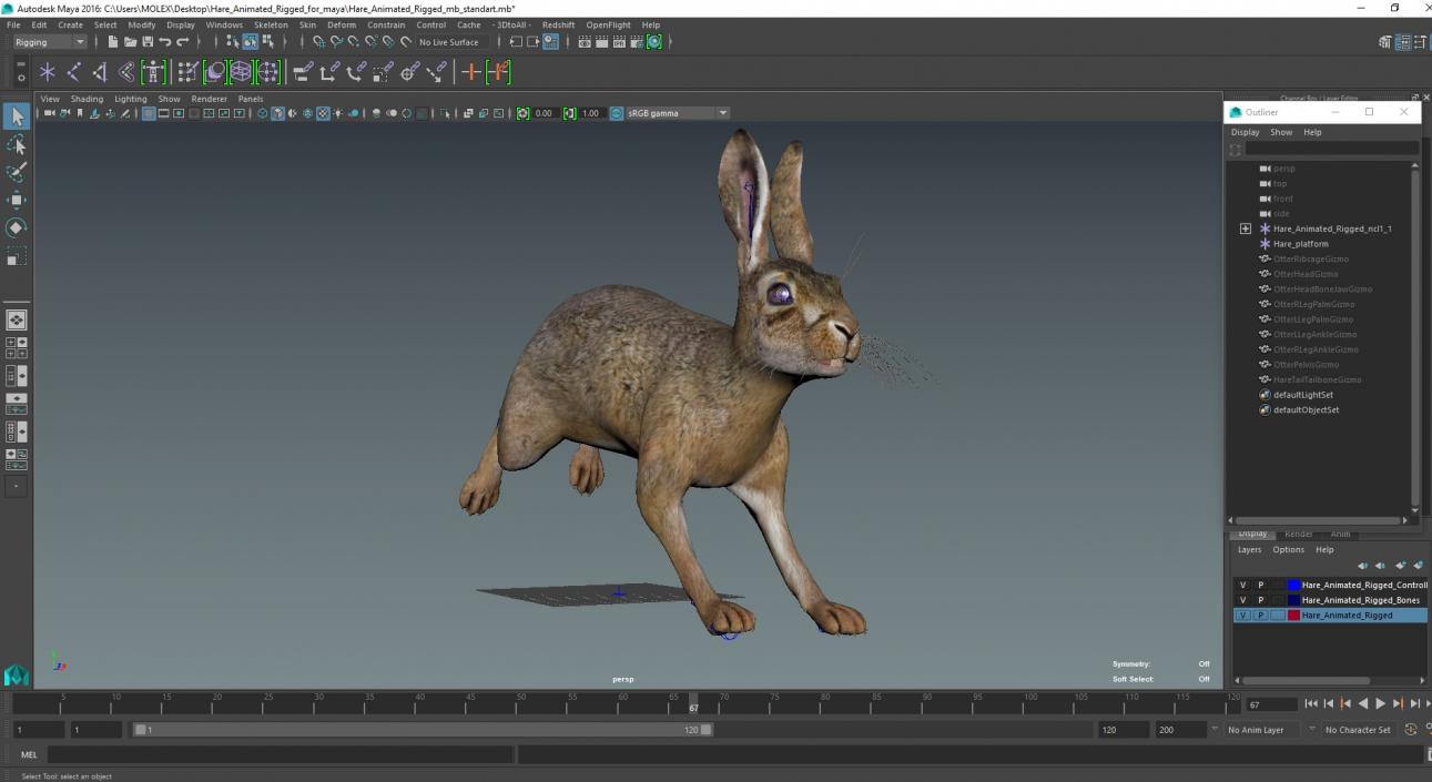 Hare  Animated Rigged for Maya 2 3D