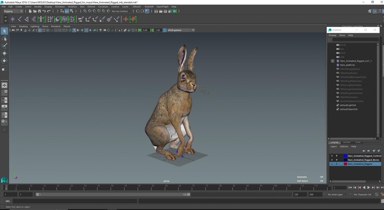 Hare  Animated Rigged for Maya 2 3D