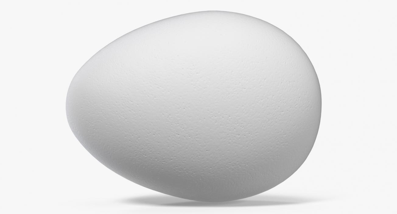 3D model Eggs 3D Models Collection