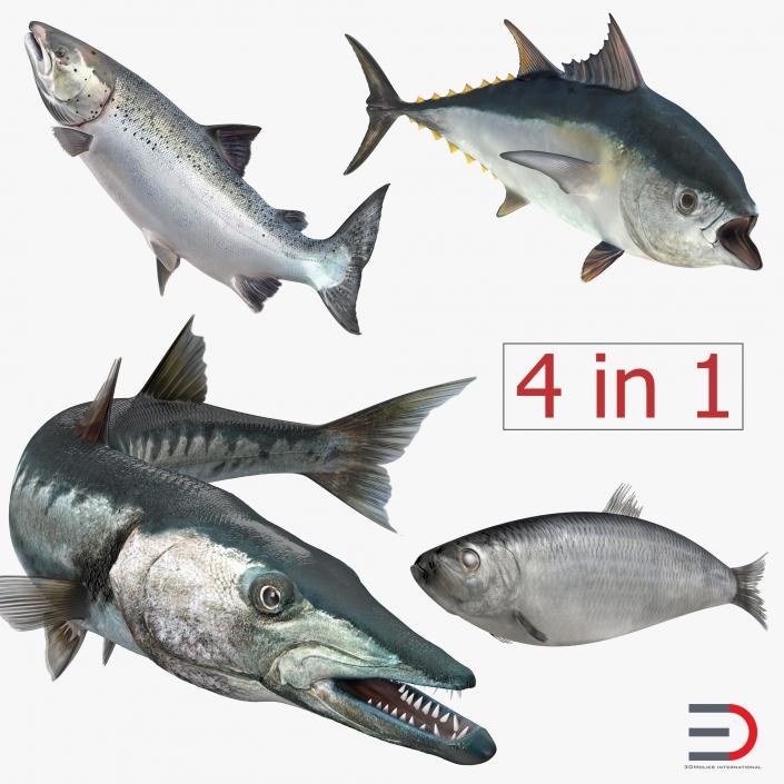 3D Fishes Collection 2 Rigged