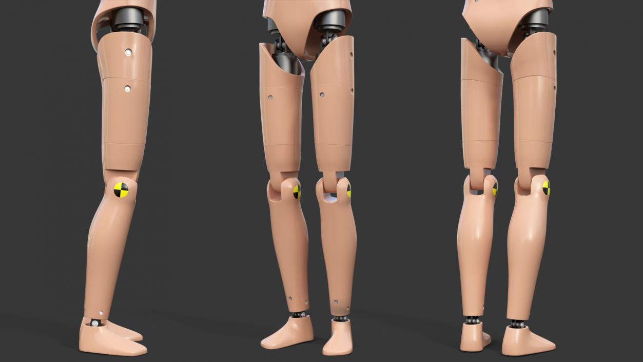 3D Rigged Crash Test Dummies Collection 5 model