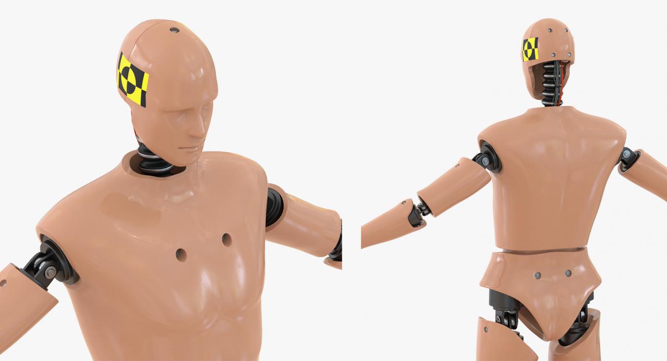 3D Rigged Crash Test Dummies Collection 5 model