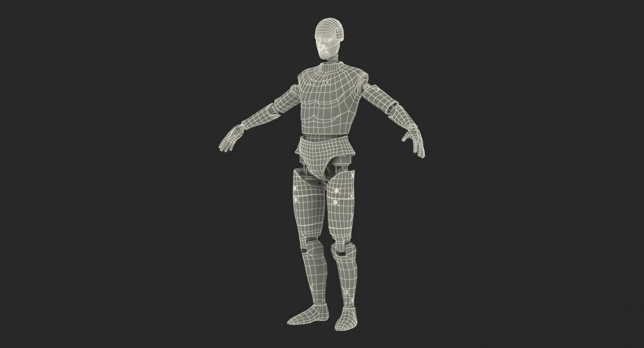 3D Rigged Crash Test Dummies Collection 5 model