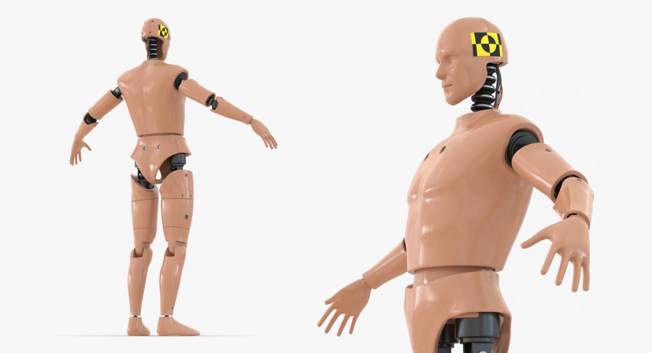 3D Rigged Crash Test Dummies Collection 5 model