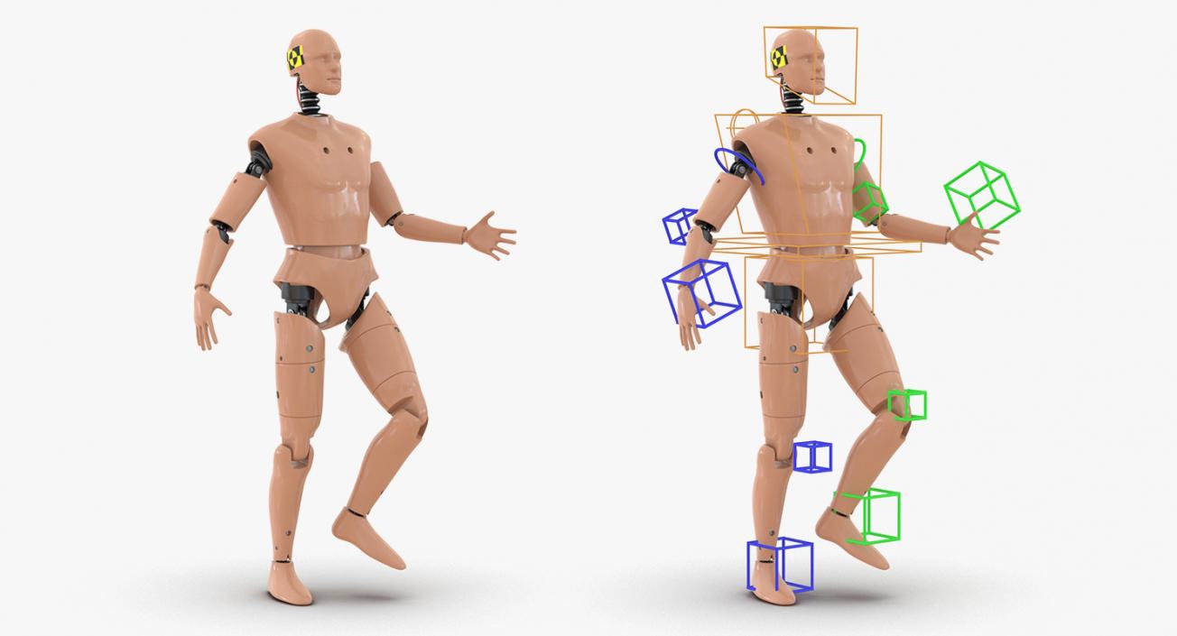 3D Rigged Crash Test Dummies Collection 5 model