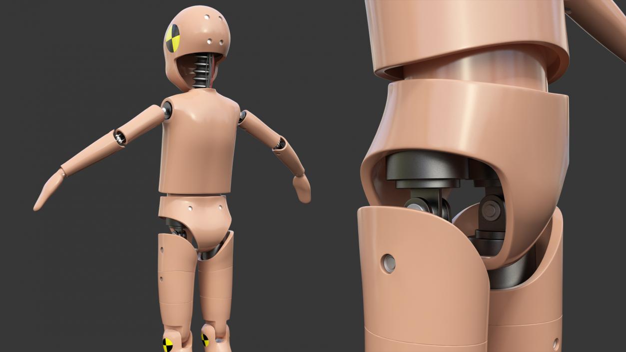 3D Rigged Crash Test Dummies Collection 5 model