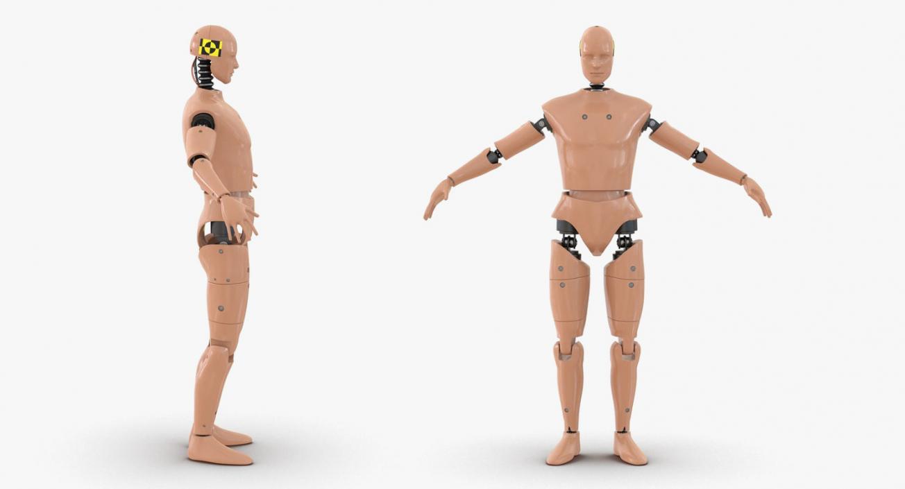 3D Rigged Crash Test Dummies Collection 5 model