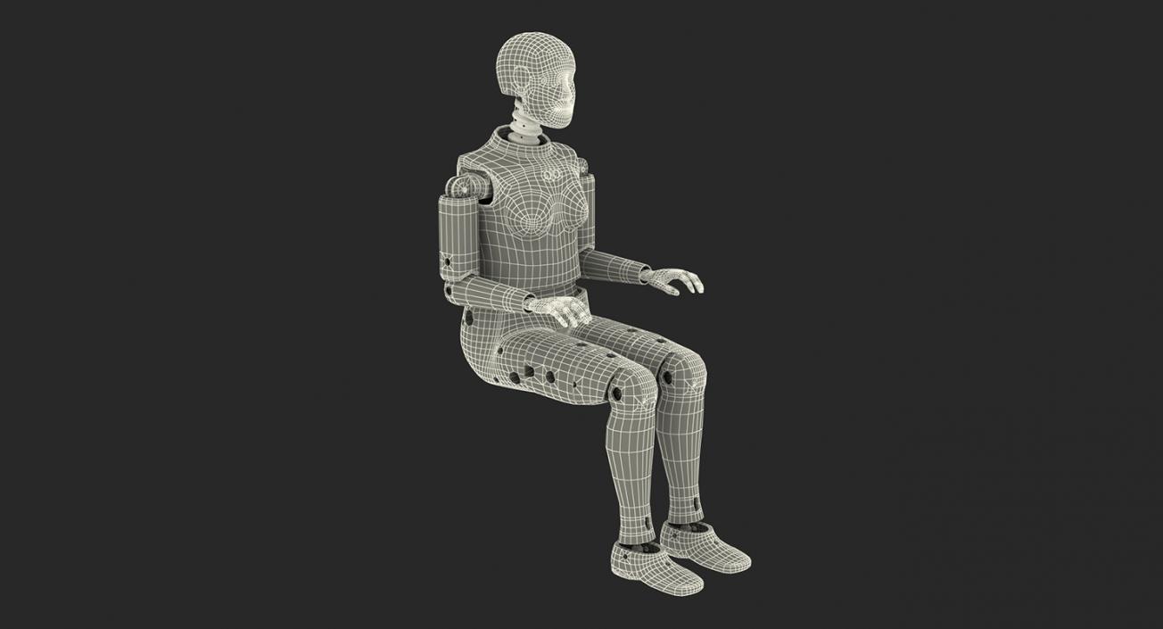 3D Rigged Crash Test Dummies Collection 5 model