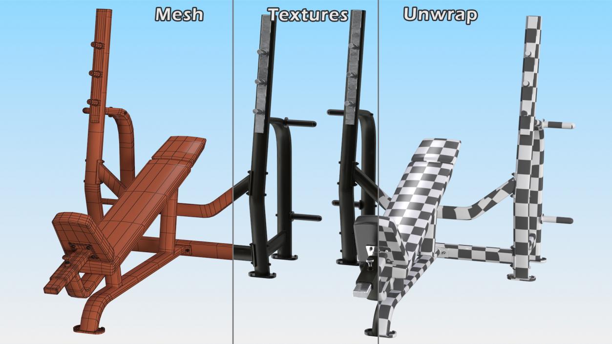 3D Olympic Incline Bench