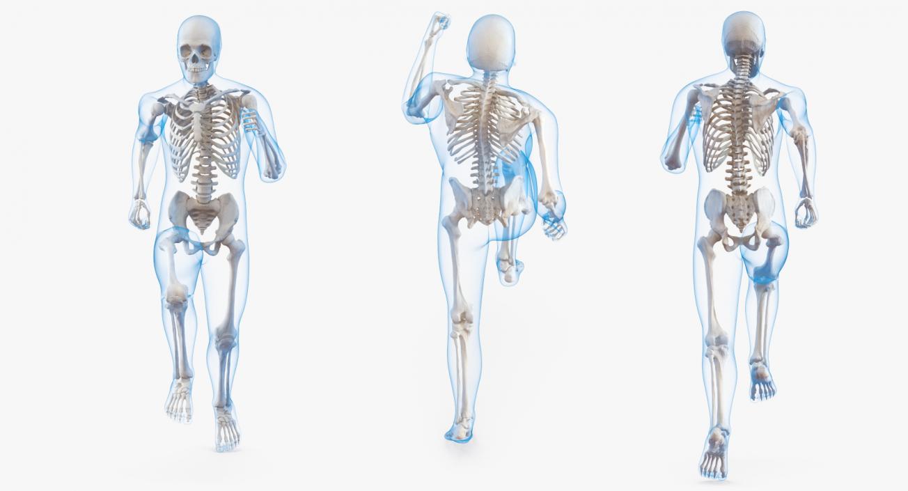 3D Male Body with Skeleton Running Pose