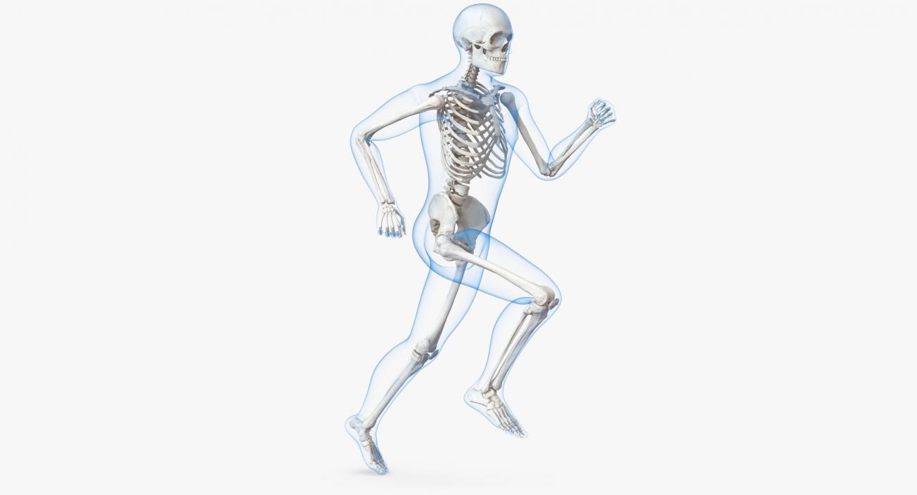 3D Male Body with Skeleton Running Pose