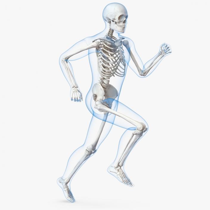 3D Male Body with Skeleton Running Pose