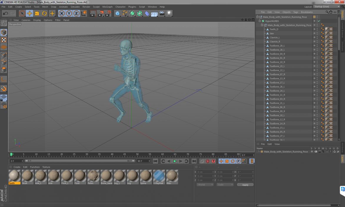 3D Male Body with Skeleton Running Pose