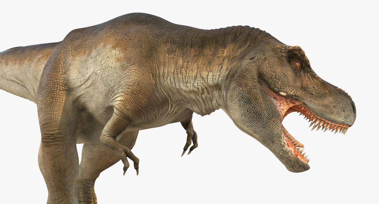 3D model Tyrannosaurus Rex Attacks