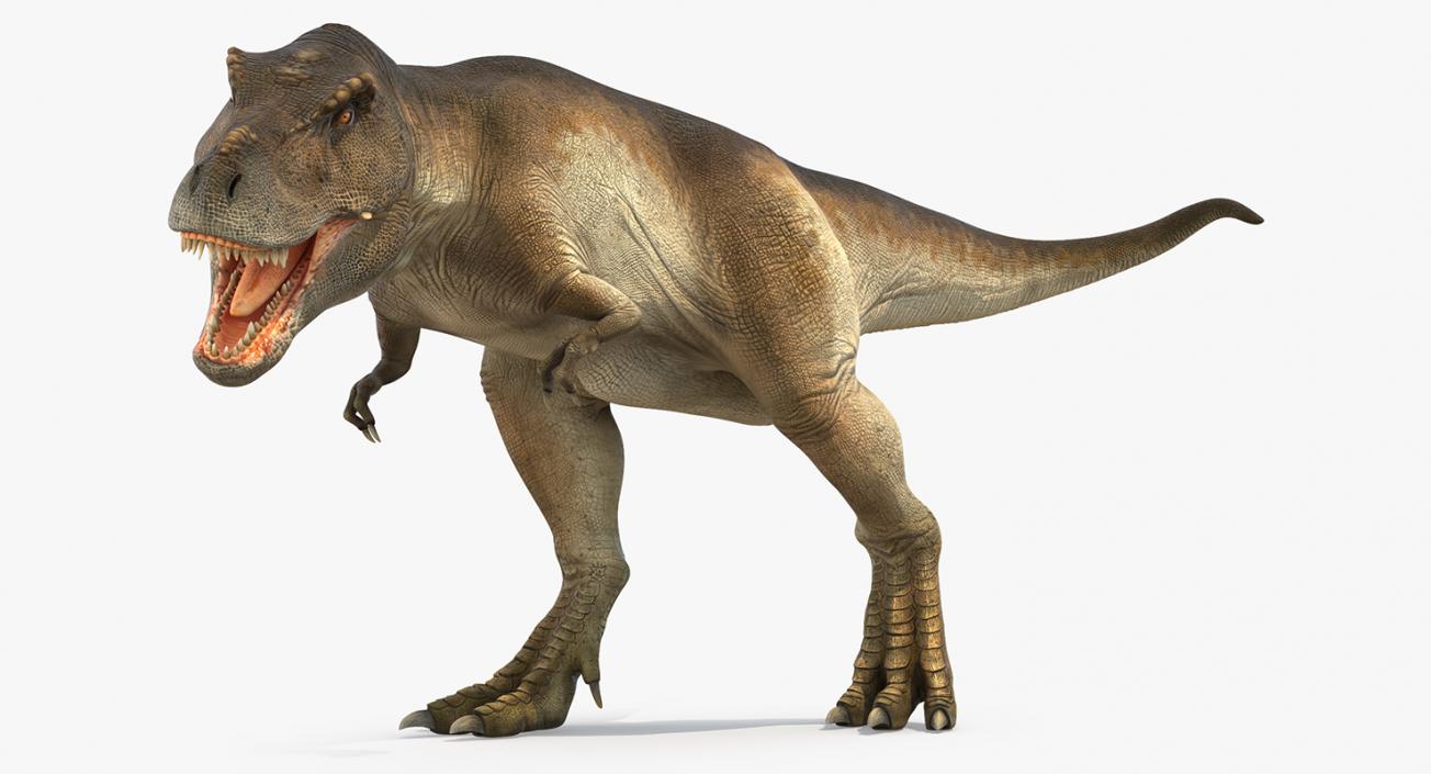 3D model Tyrannosaurus Rex Attacks