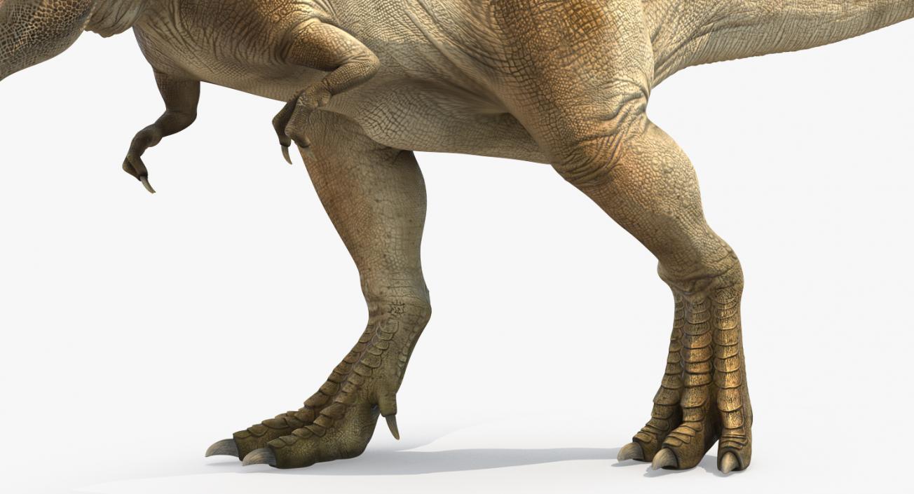 3D model Tyrannosaurus Rex Attacks