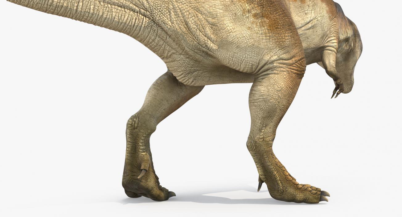 3D model Tyrannosaurus Rex Attacks