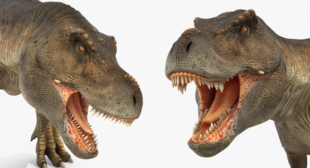 3D model Tyrannosaurus Rex Attacks