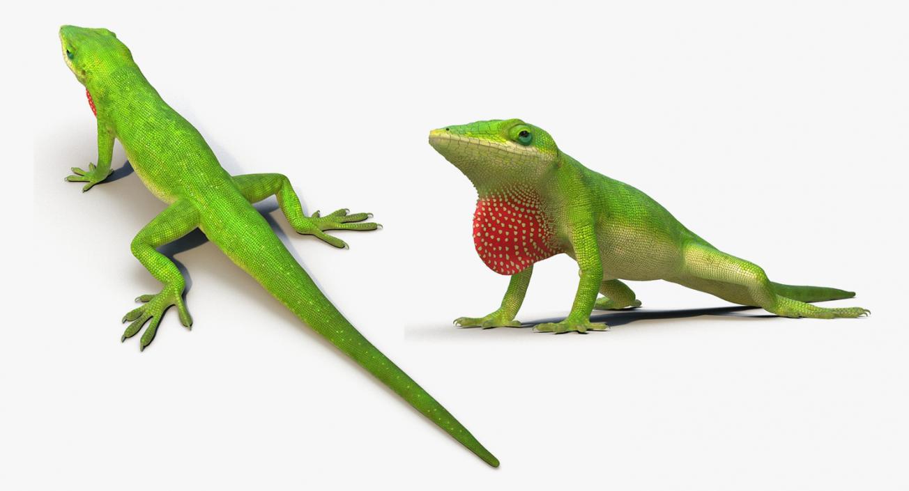 3D model Lizards Collection 2