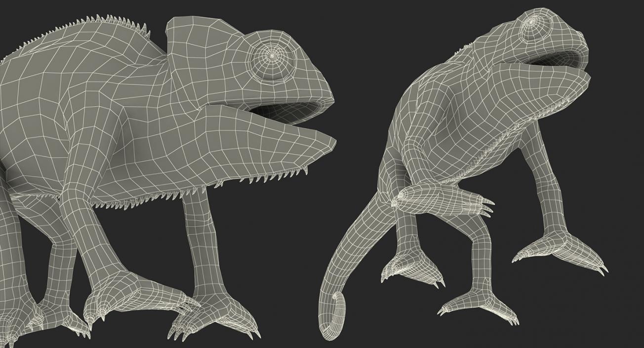 3D model Lizards Collection 2