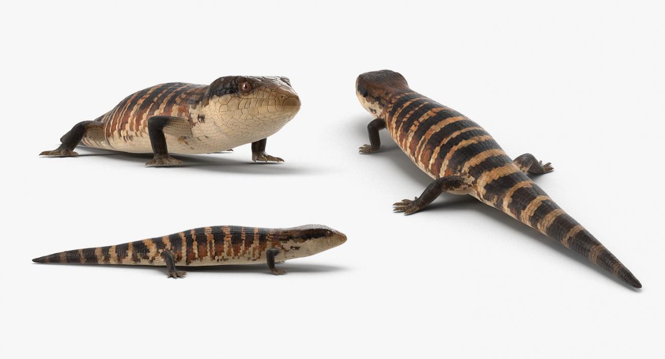 3D model Lizards Collection 2