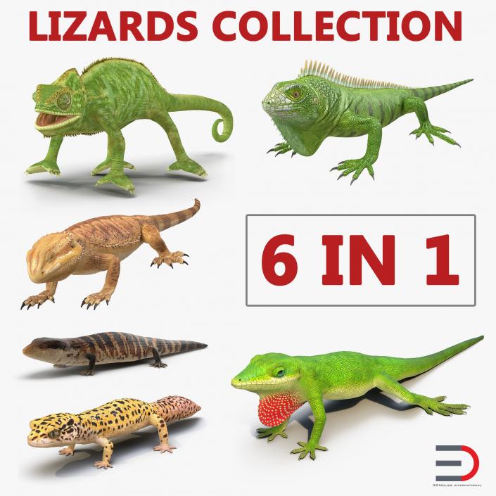 3D model Lizards Collection 2