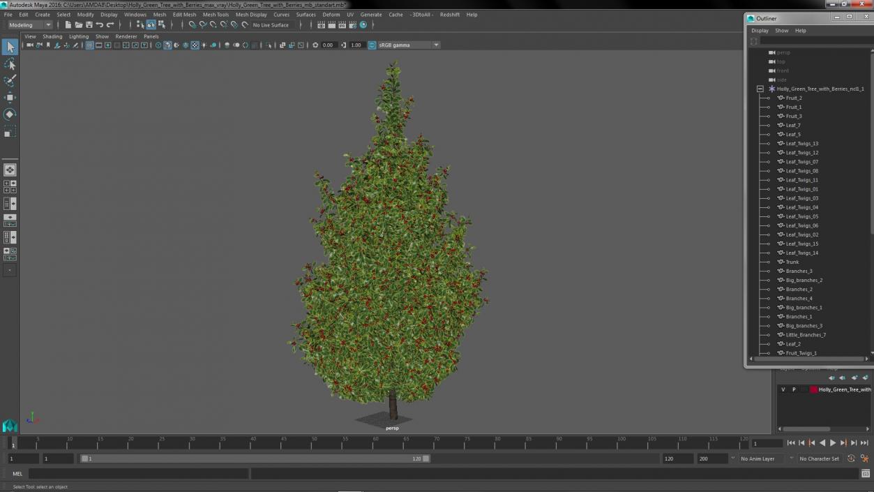 Holly Green Tree with Berries 3D model