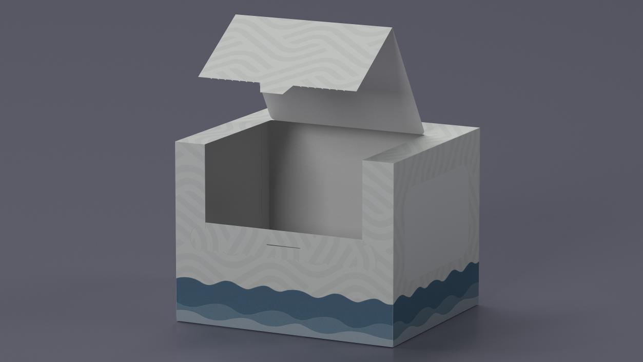 3D model Mockup Paper Towel Box Empty 2