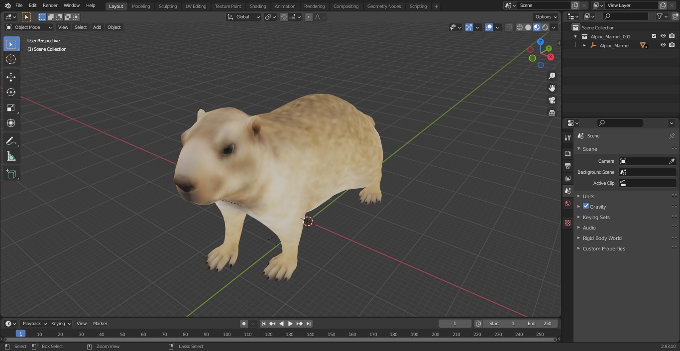 3D Alpine Marmot model