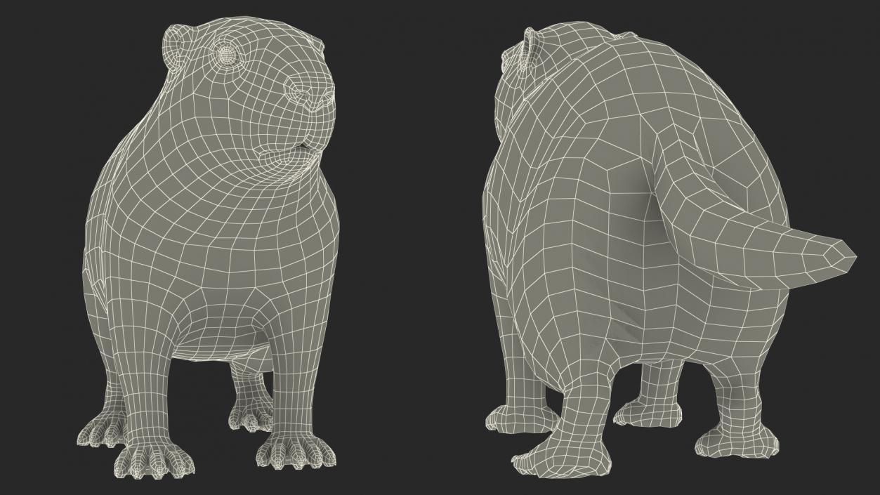 3D Alpine Marmot model