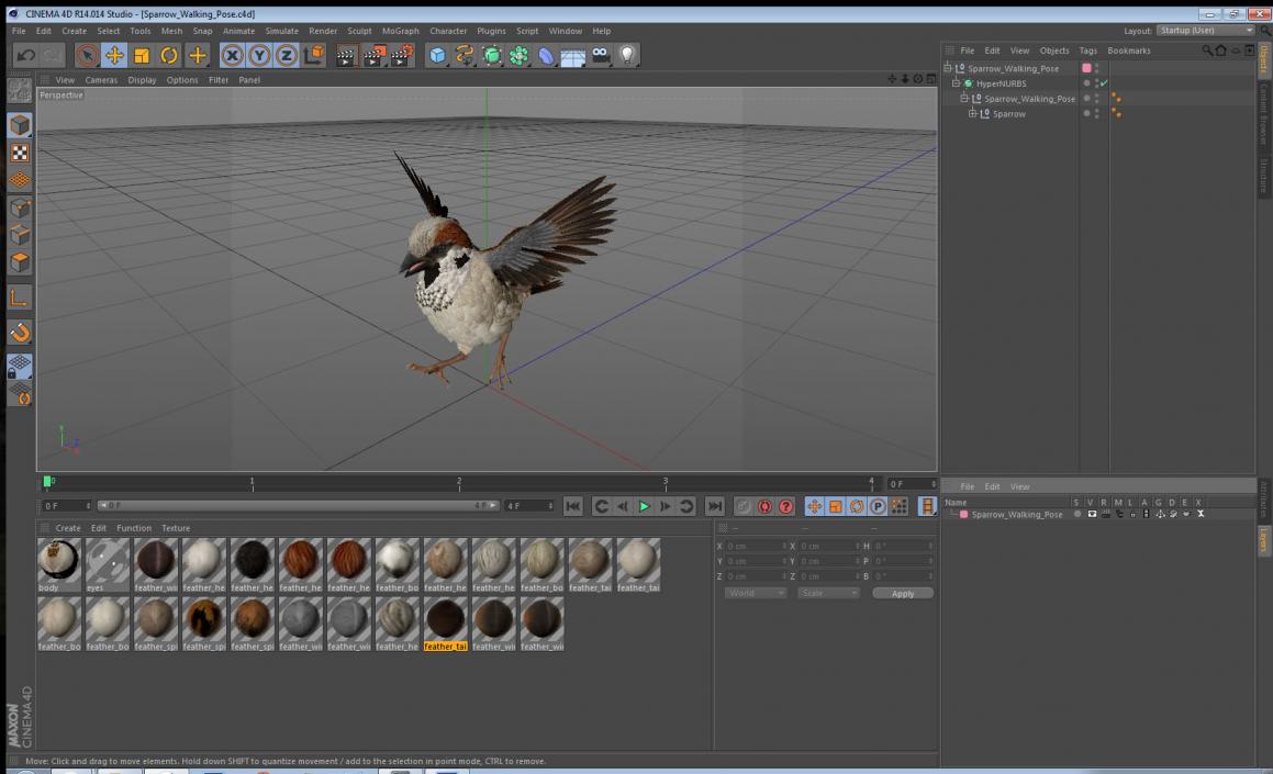 3D model Sparrow Walking Pose