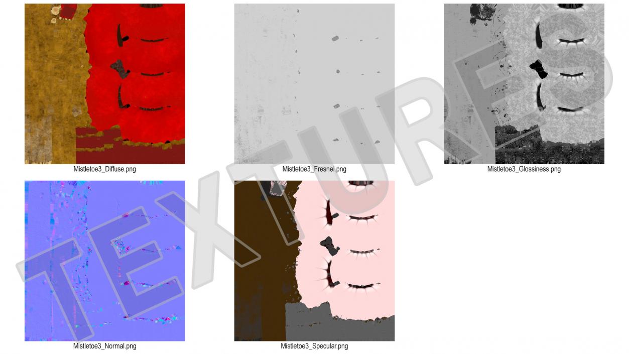 3D Ilex Aquifolium Berries on Branch model