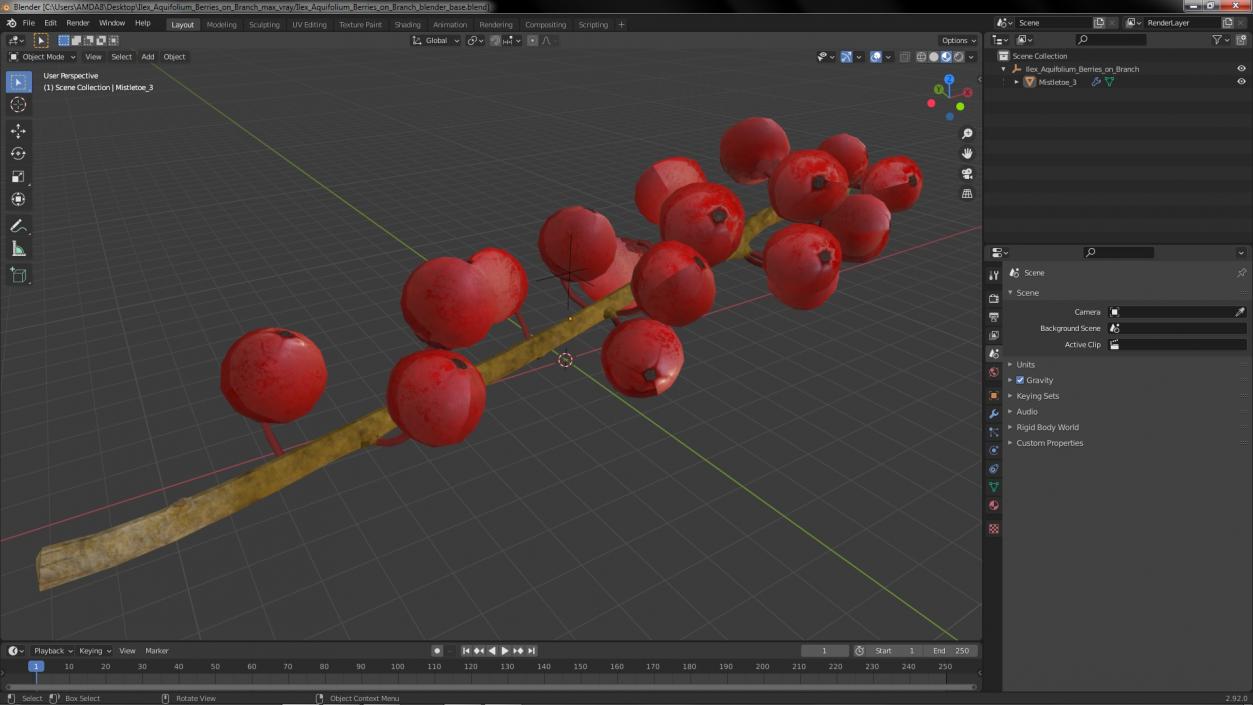 3D Ilex Aquifolium Berries on Branch model