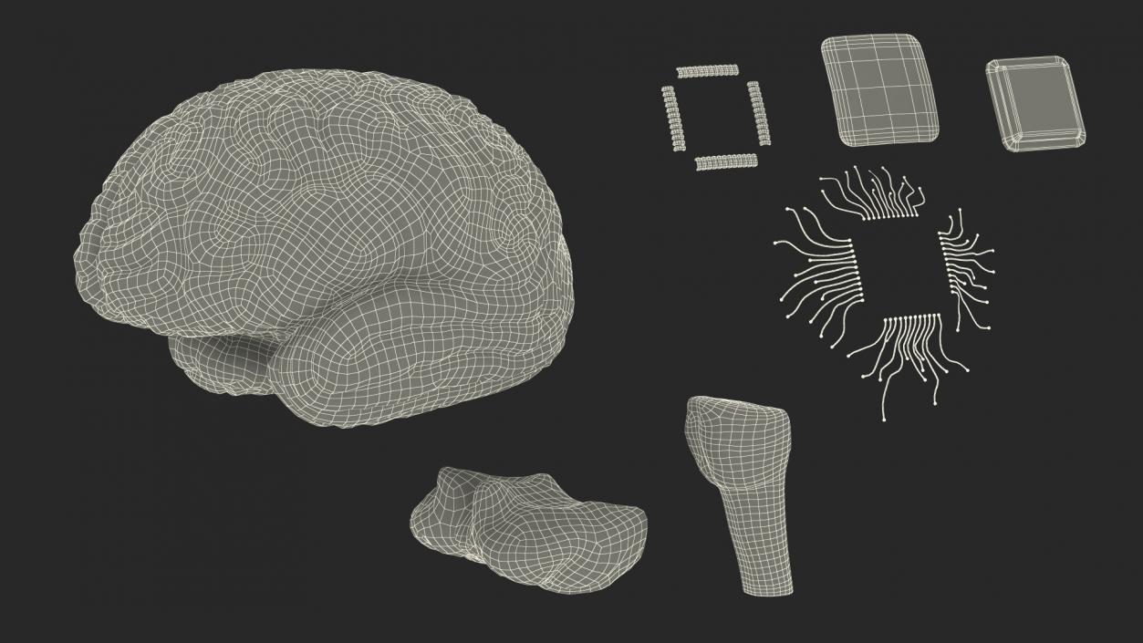 Human Brain with Microchip Implant with Light 2 3D