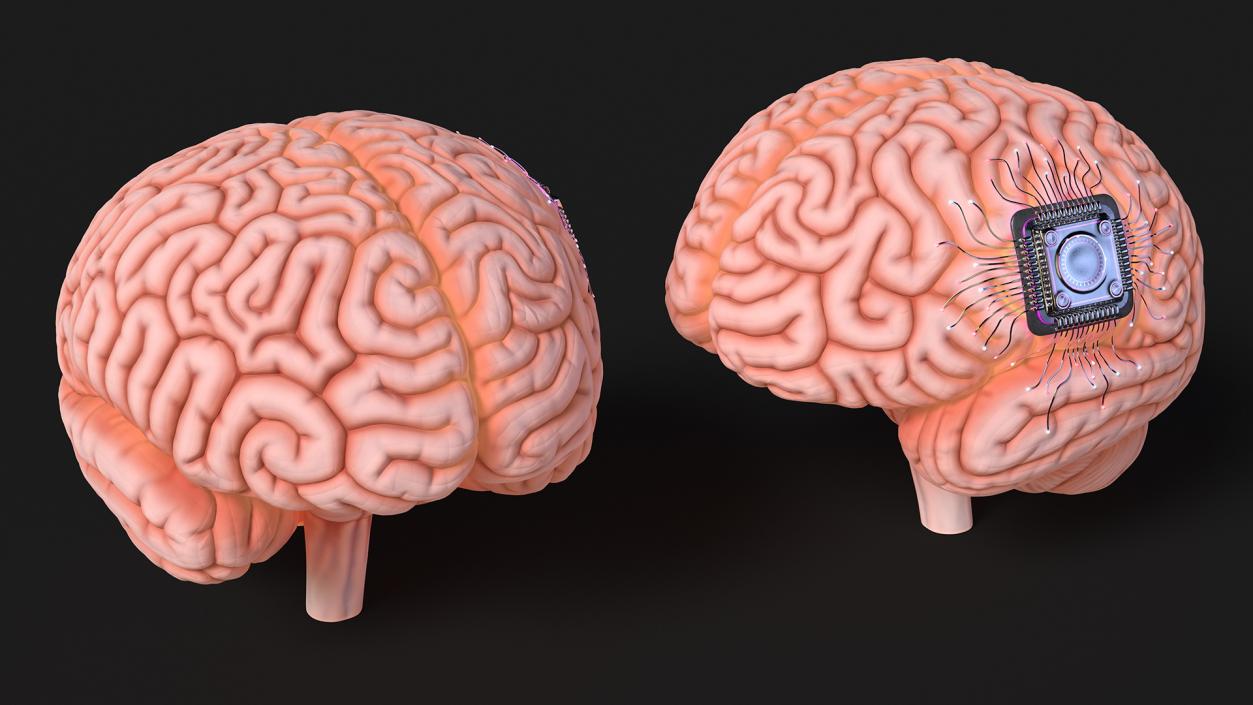 Human Brain with Microchip Implant with Light 2 3D