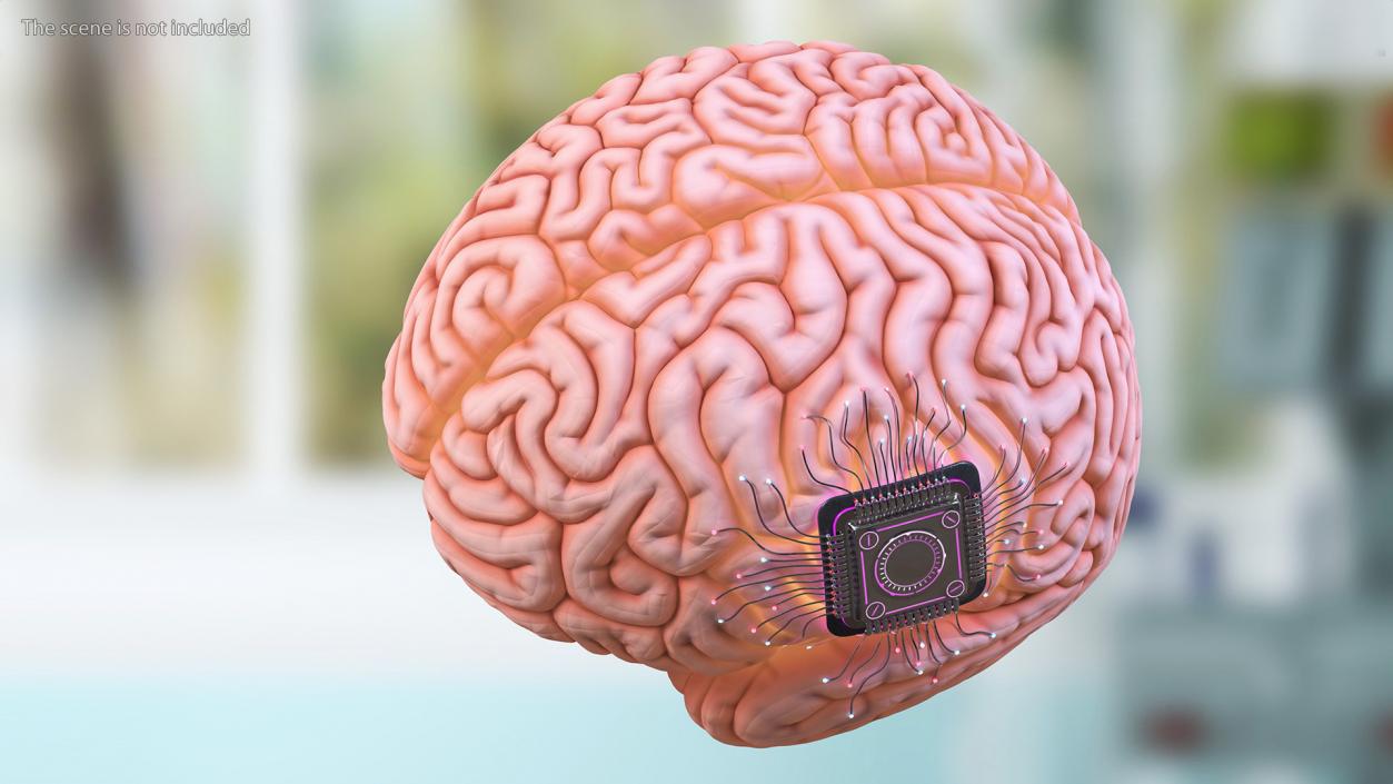 Human Brain with Microchip Implant with Light 2 3D