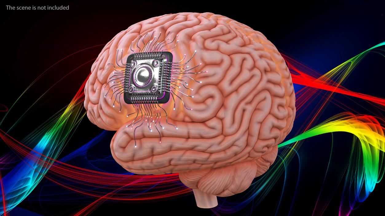 Human Brain with Microchip Implant with Light 2 3D