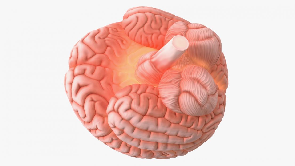 Human Brain with Microchip Implant with Light 2 3D