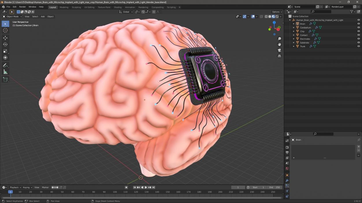 Human Brain with Microchip Implant with Light 2 3D