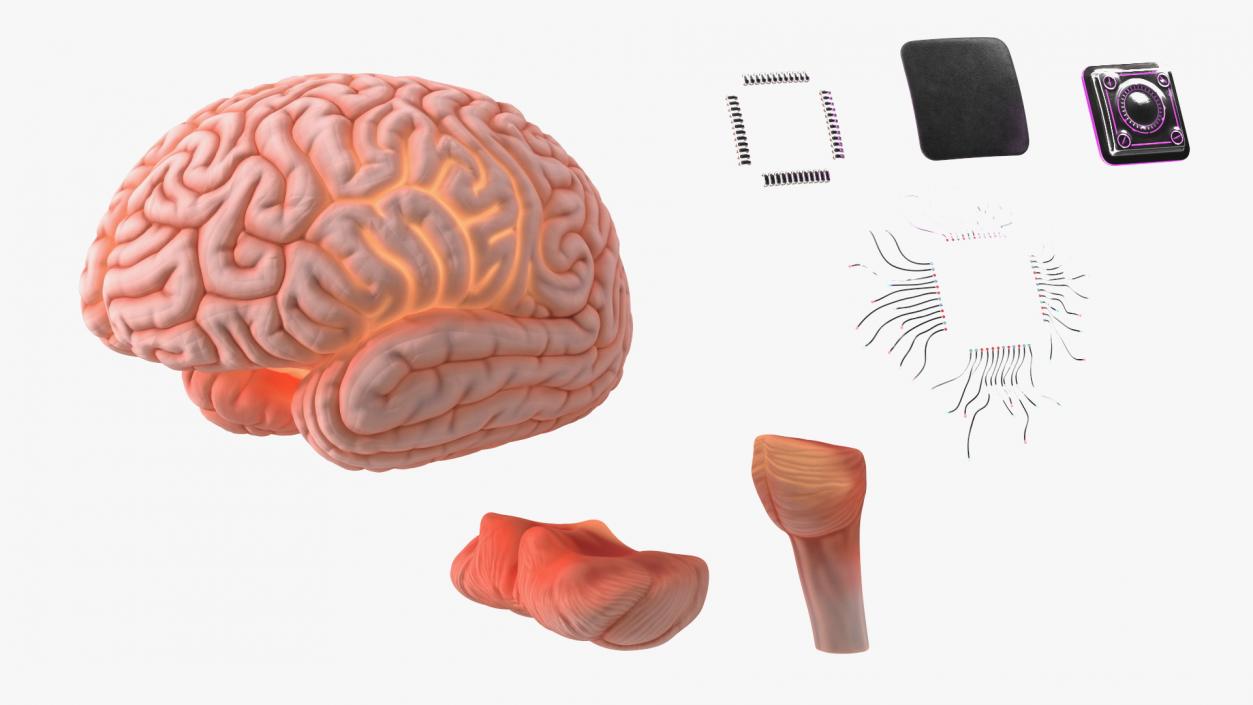 Human Brain with Microchip Implant with Light 2 3D