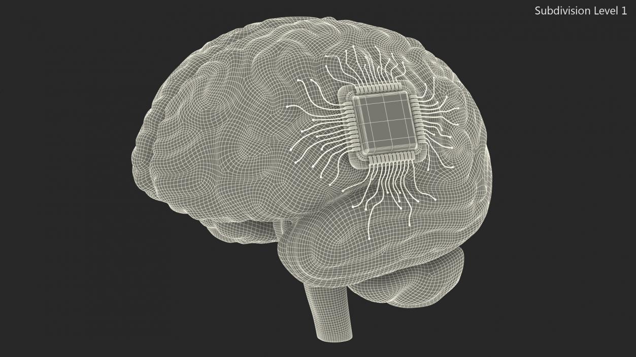 Human Brain with Microchip Implant with Light 2 3D