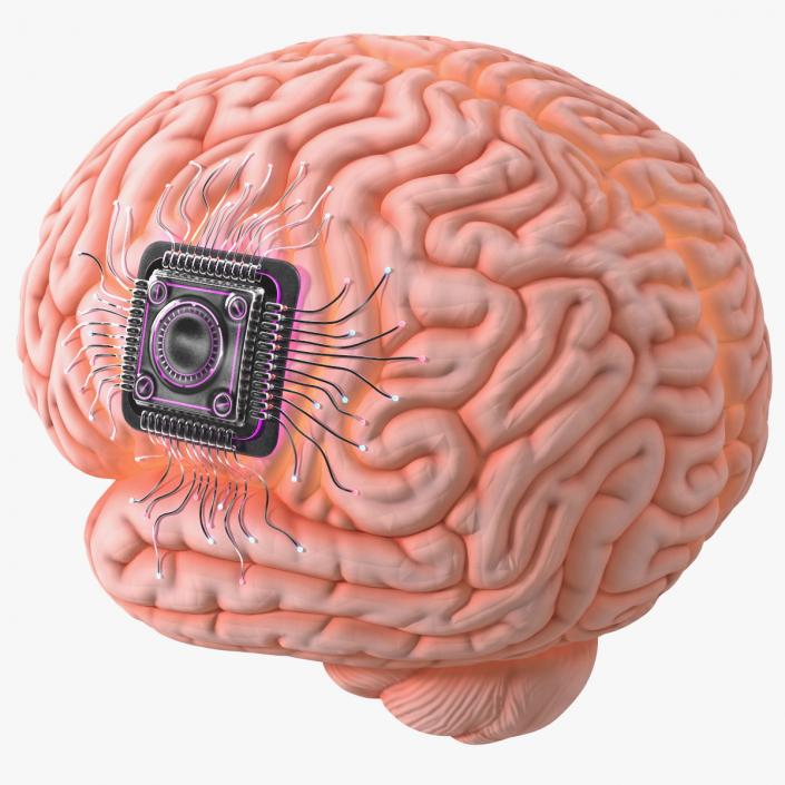 Human Brain with Microchip Implant with Light 2 3D