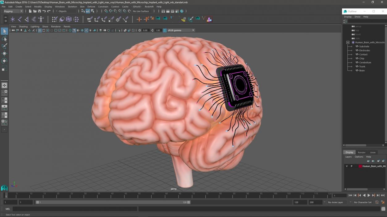 Human Brain with Microchip Implant with Light 2 3D