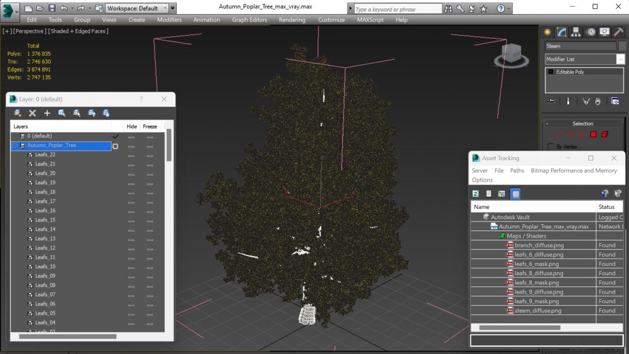 3D Autumn Poplar Tree model