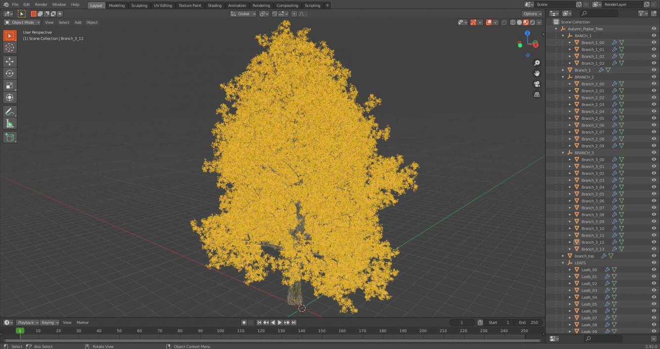 3D Autumn Poplar Tree model