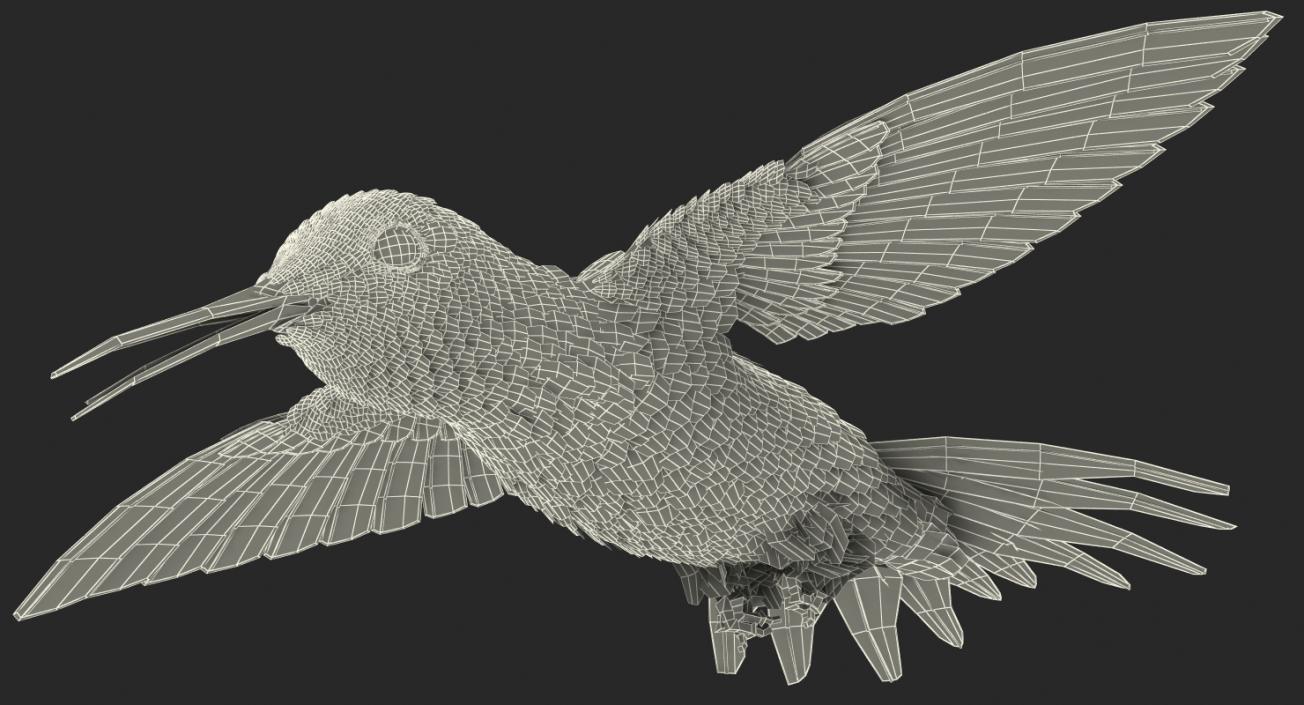 3D Birds Collection 2 model