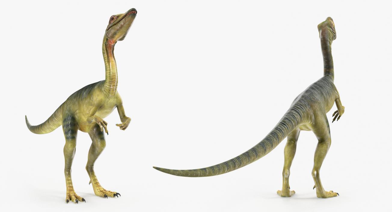 3D model Dinosaur Compsognathus Worried Pose