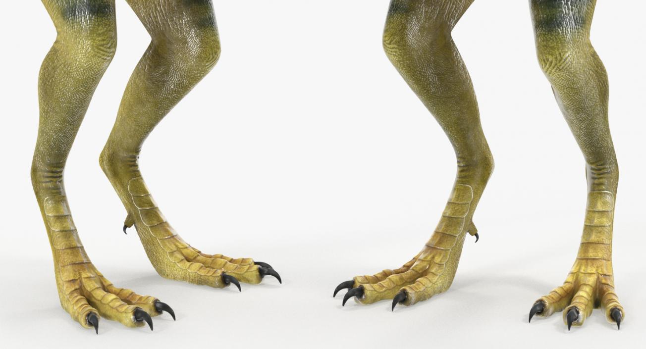 3D model Dinosaur Compsognathus Worried Pose