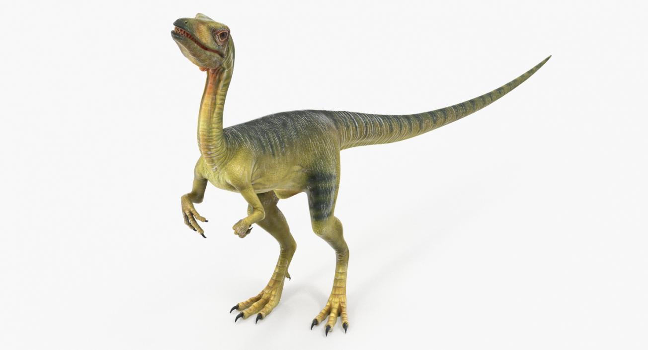 3D model Dinosaur Compsognathus Worried Pose