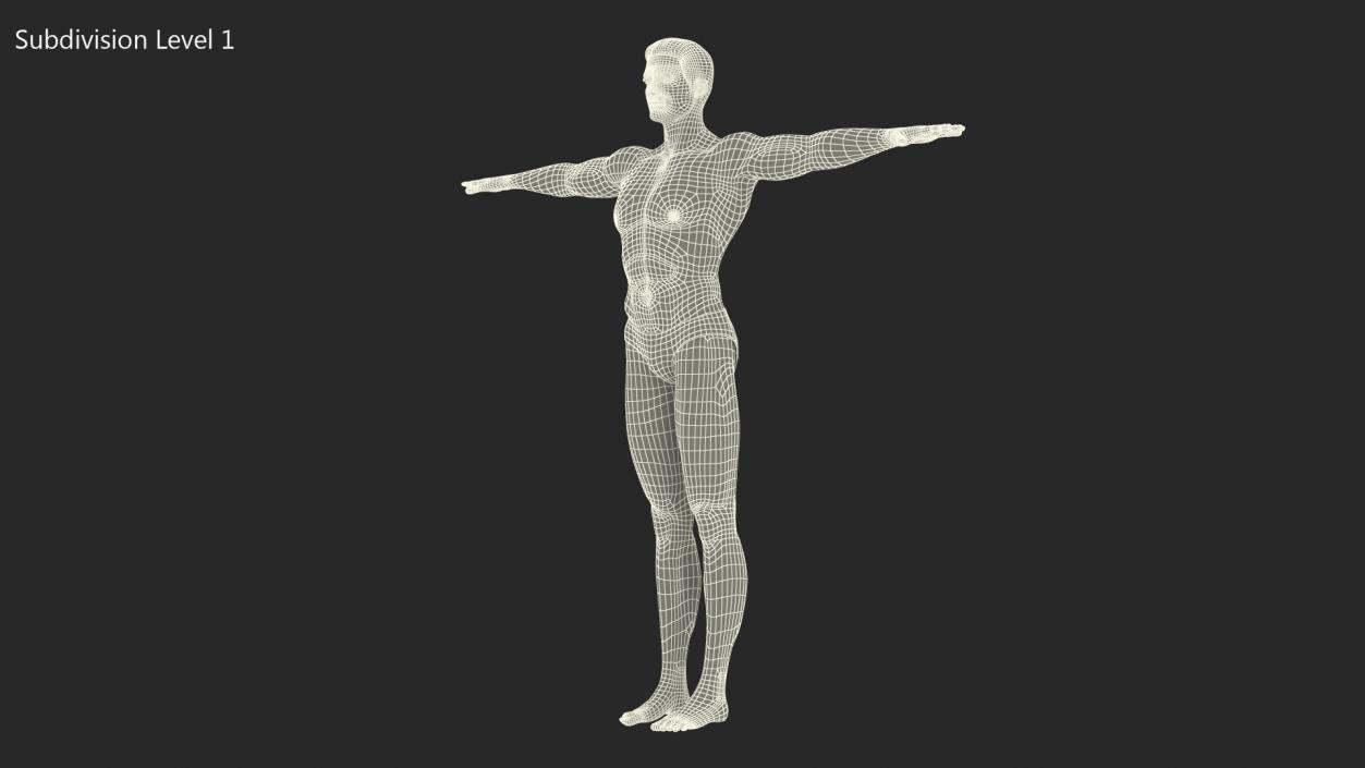 Athletic Man Rigged 3D model